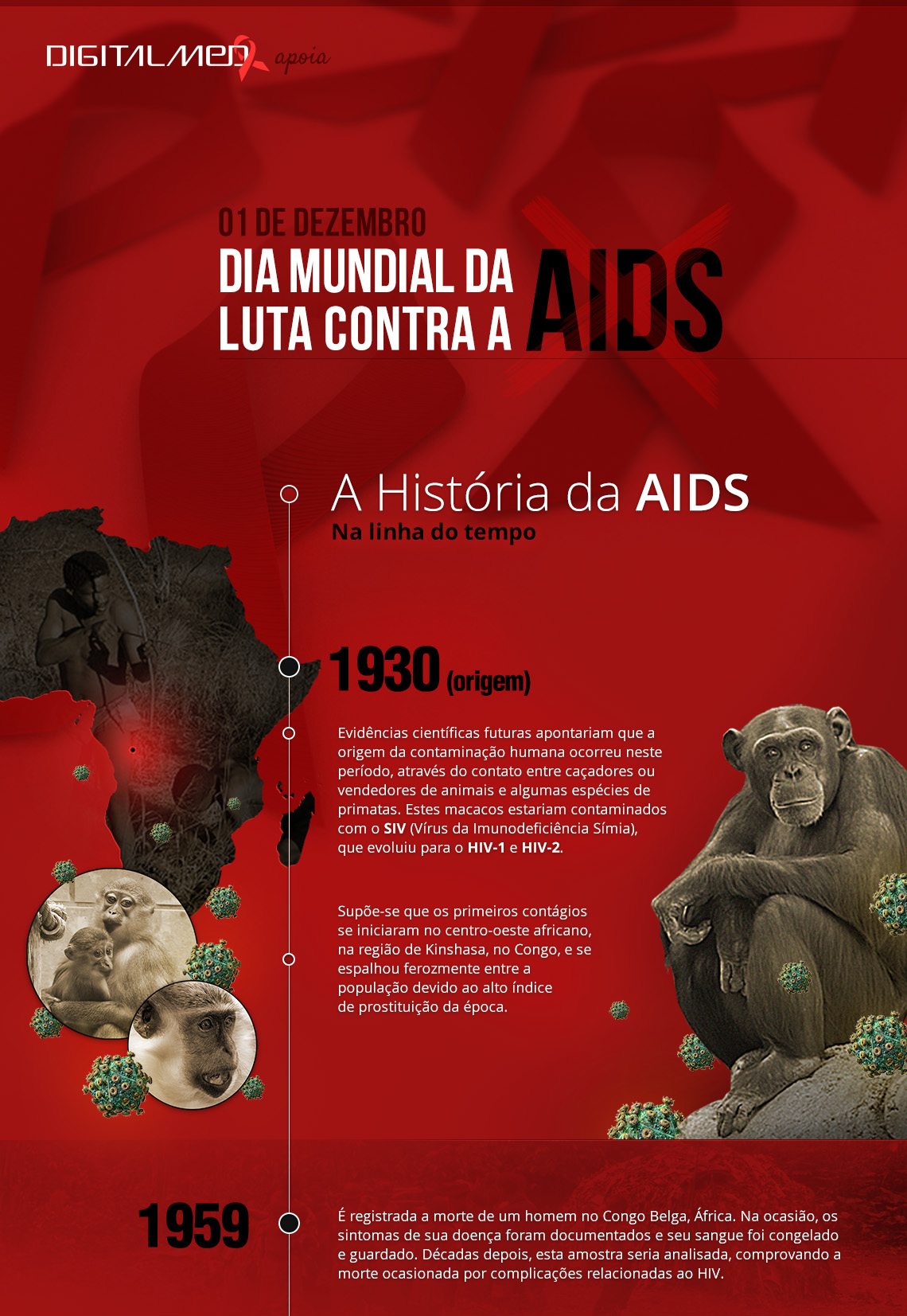 Dia do Mundial contra a AIDS - Infográfico