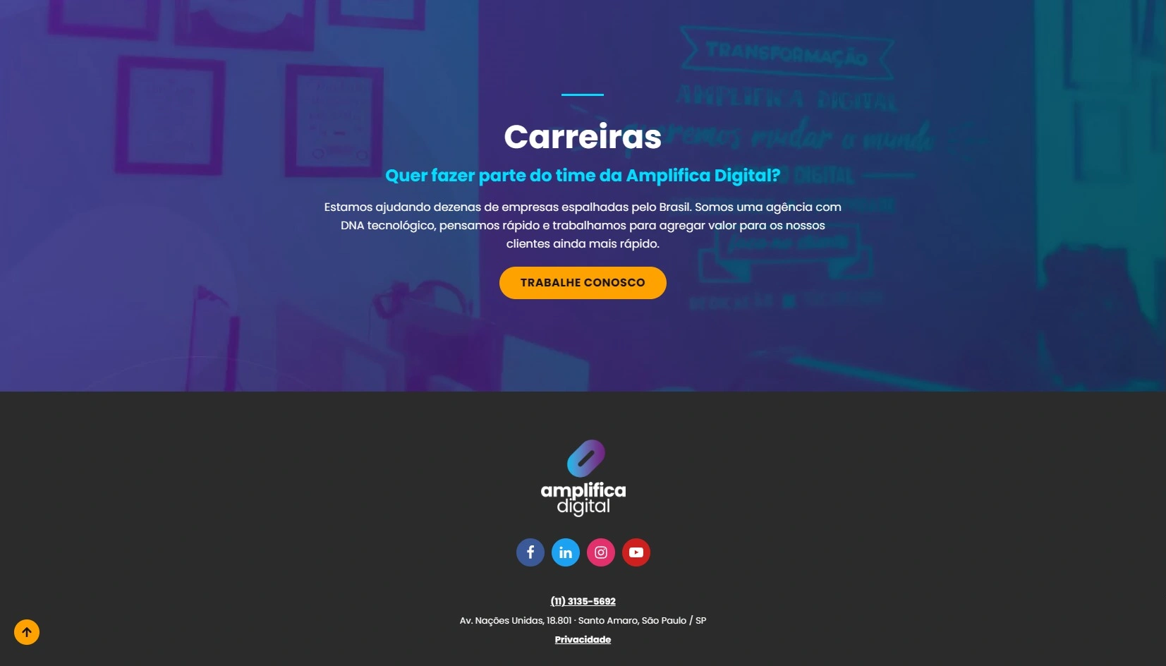 Site: Amplifica Digital (2024)